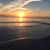Lisa Lanford Cook's profile image