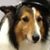 Diane Chaves's profile image