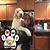 Cara Lindemann's profile image