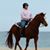Missy Shultz Brehm's profile image