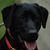 Burt Sweet's profile image