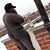 Johnathan Kal-El Thomas's profile image