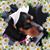 Andie Engle's profile image