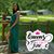 Yesenia Trevino's profile image