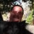 Chuck Laubach's profile image