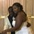 Cheyenne CleverChild Breakenridge's profile image