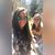 Lindsey Dotson's profile image
