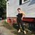 Bridget Bogan's profile image