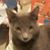 Joye Smith's profile image