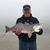 Terry Taylor's profile image