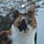 Julie Dolbier's profile image