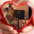 Kelly Alicia Toms's profile image