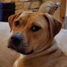 Tater T.'s profile image