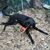 Pat Kelly's profile image