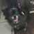 Wendy York Witterschein's profile image