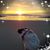 Candy Przygoda's profile image