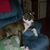 Penny C. Locklear Hammonds's profile image