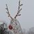 Donna Riley Pratley's profile image