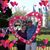 Bev Brown's profile image