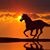 Katy Sullivan's profile image