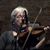 Kit Fallon's profile image