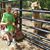 Carolyn Elizabeth Stotler's profile image