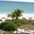 Sue Schultz's profile image