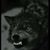 Bart Iacano's profile image