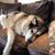 Laura Ackerman's profile image