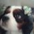 Melinda Lee's profile image