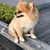 Nikki Sellsnyc's profile image