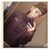 Uriel Cruz's profile image