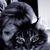 Kathy Baucom Baker's profile image