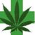 Loretta Lugan's profile image