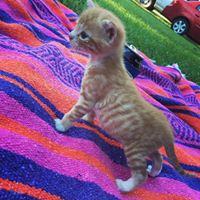 Kathy Crowell's profile image