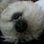 Bruce Toman's profile image