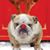 Jan Walker Kahn's profile image