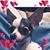 Amy Borkowski's profile image