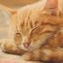 BARBARA J.'s profile image