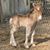 Connie Priddy's profile image