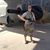 Jared Quiring's profile image
