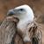 Matt Tormey's profile image