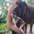 Katie Crompton's profile image
