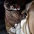 Pamela Davis's profile image