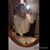 Taylor J Marlow's profile image