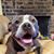 Heather Tartavoulle's profile image