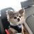 Kristin Melio's profile image