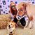 Colleen Watson's profile image