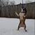 Anjanette-Angi Parker's profile image