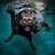 Chris Lowder's profile image